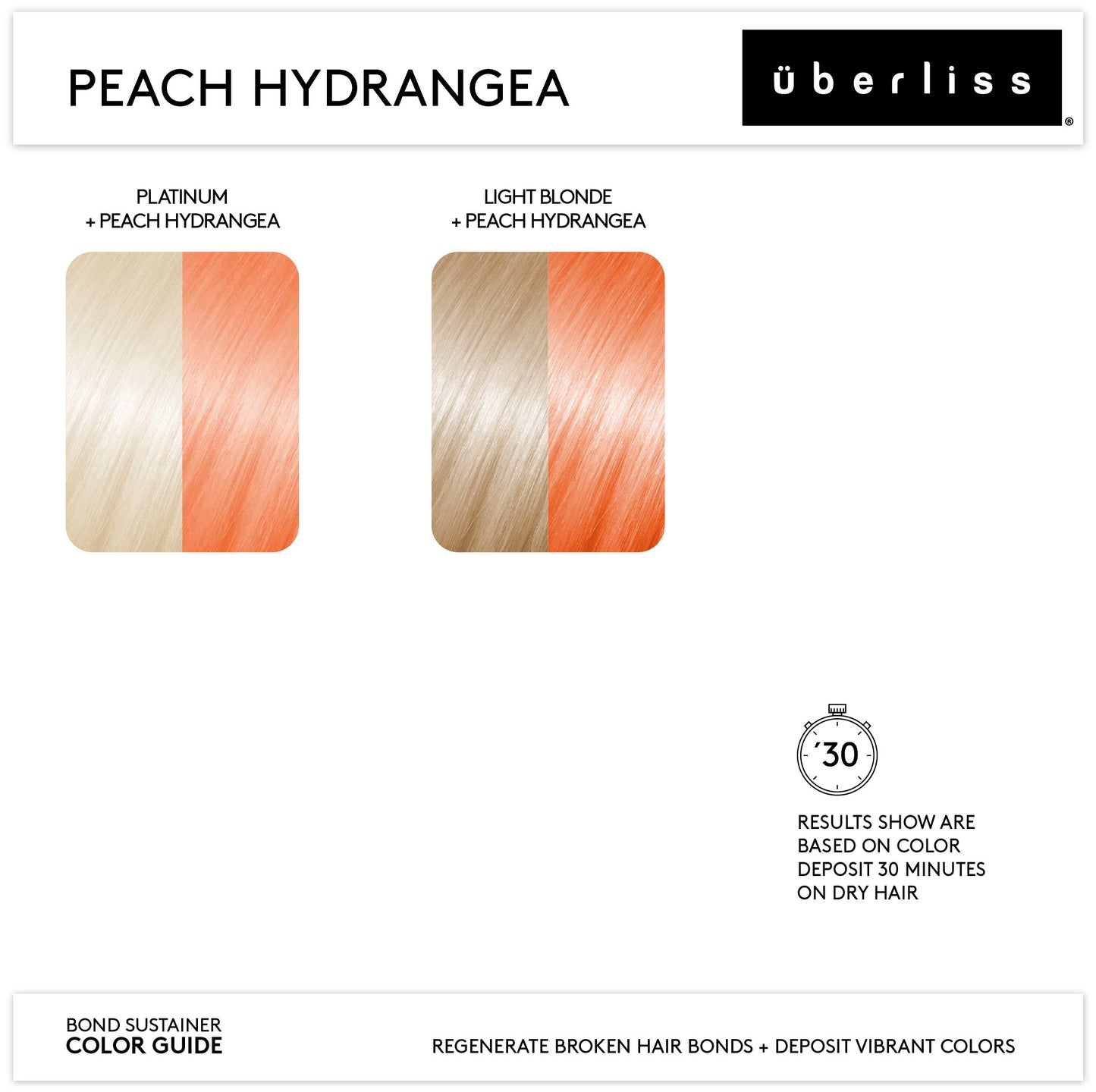 Bond Sustainer Peach Hydrangea